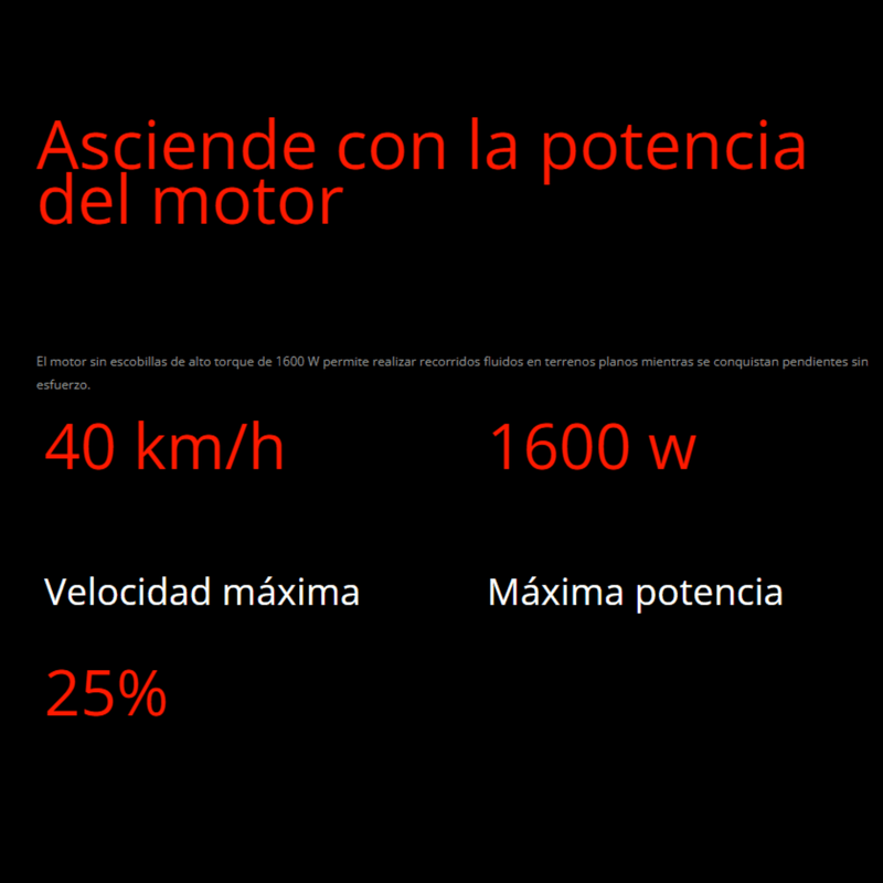Patineta-Electrica-Ninebot-Zt3-Pro-Panamericana1_7.png